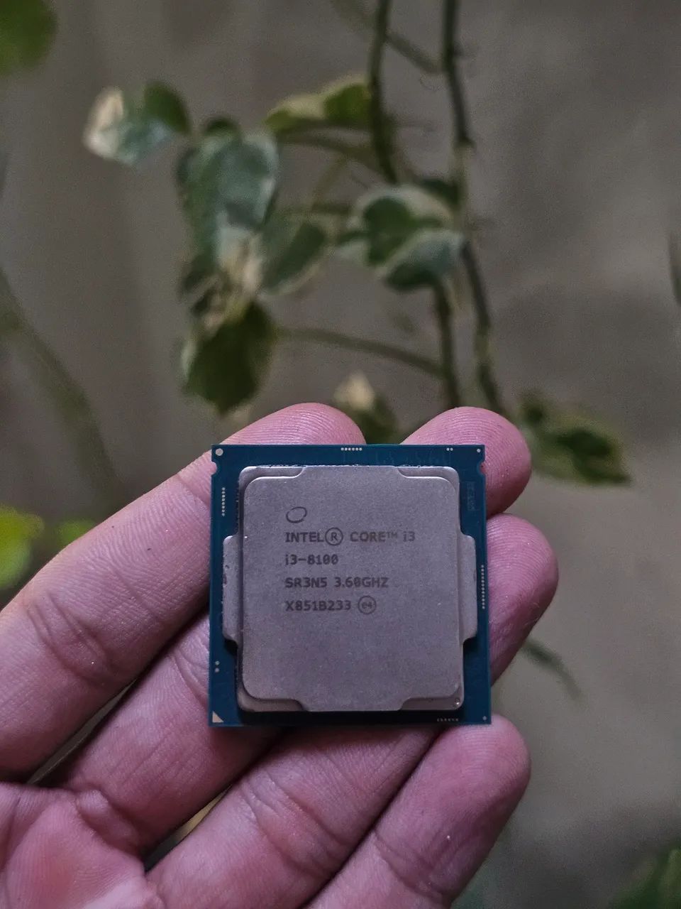 Processador Intel i3 8100