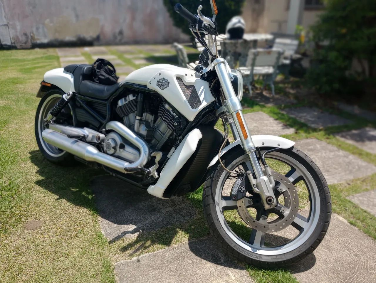 Harley Davidson Vrod Monstra. - Foto 4