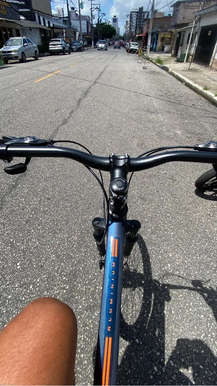 BIKE COLLI ARO 29
