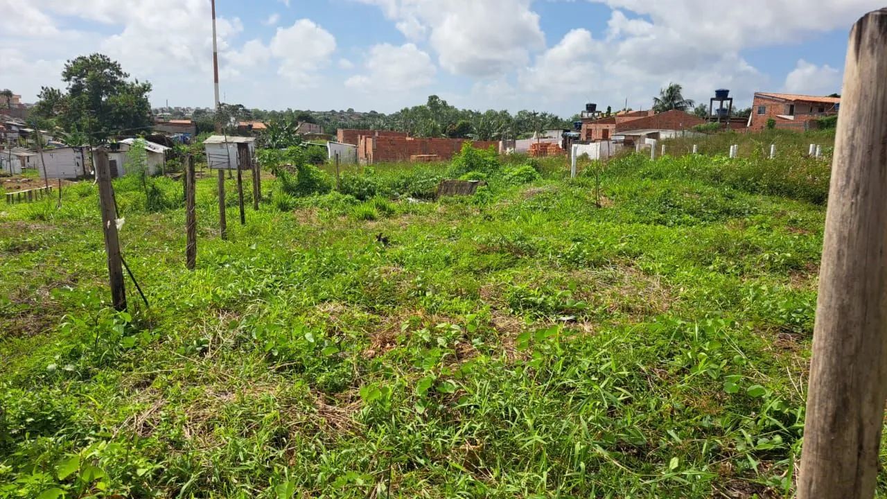 Terrenos Araçagy  - Foto 5