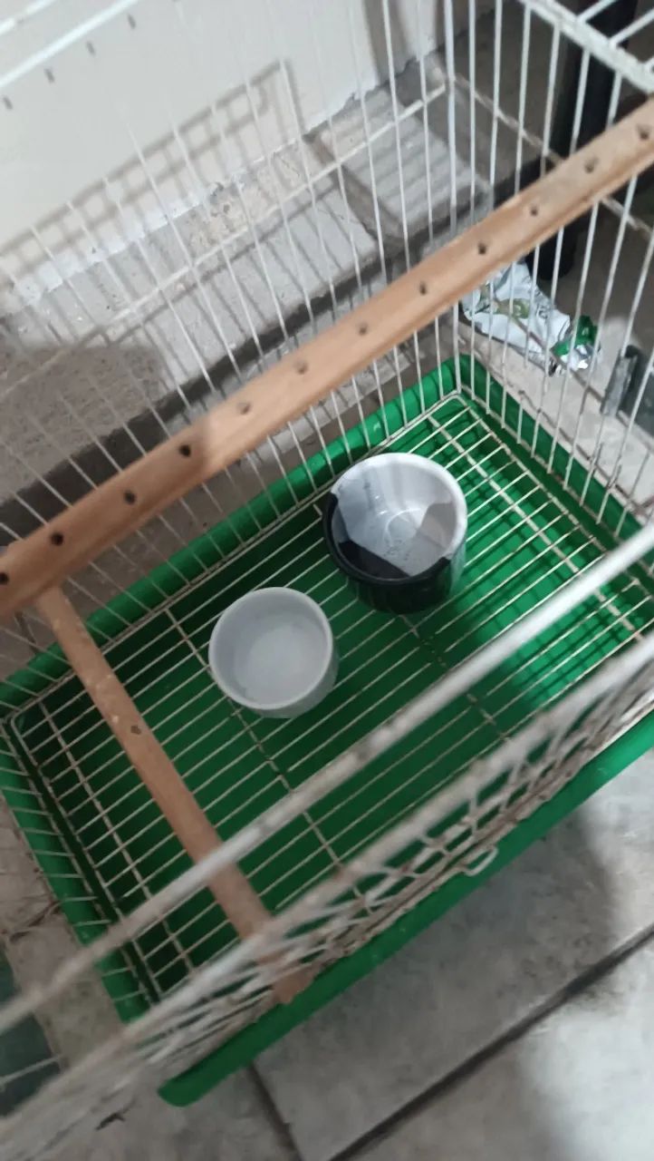 Gaiola em bom estado - Foto 2