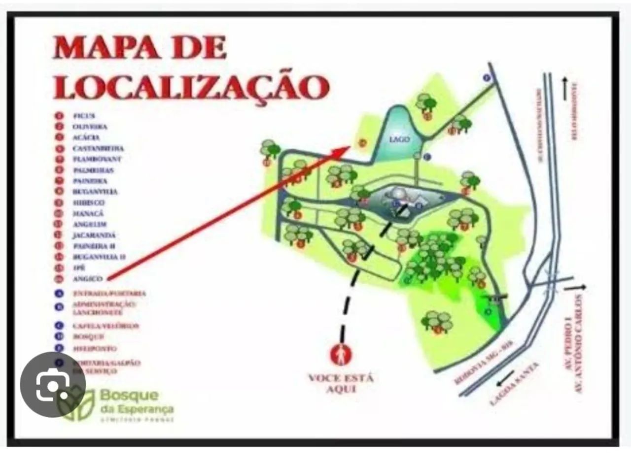 JAZIGOS  troco carro/moto LEIA - Foto 3