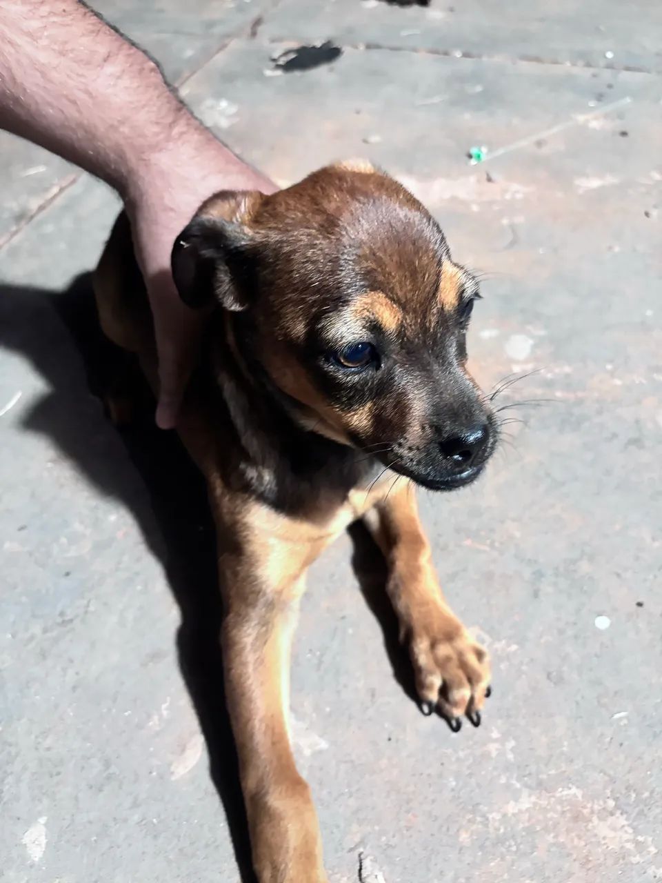 Doação  - Foto 4