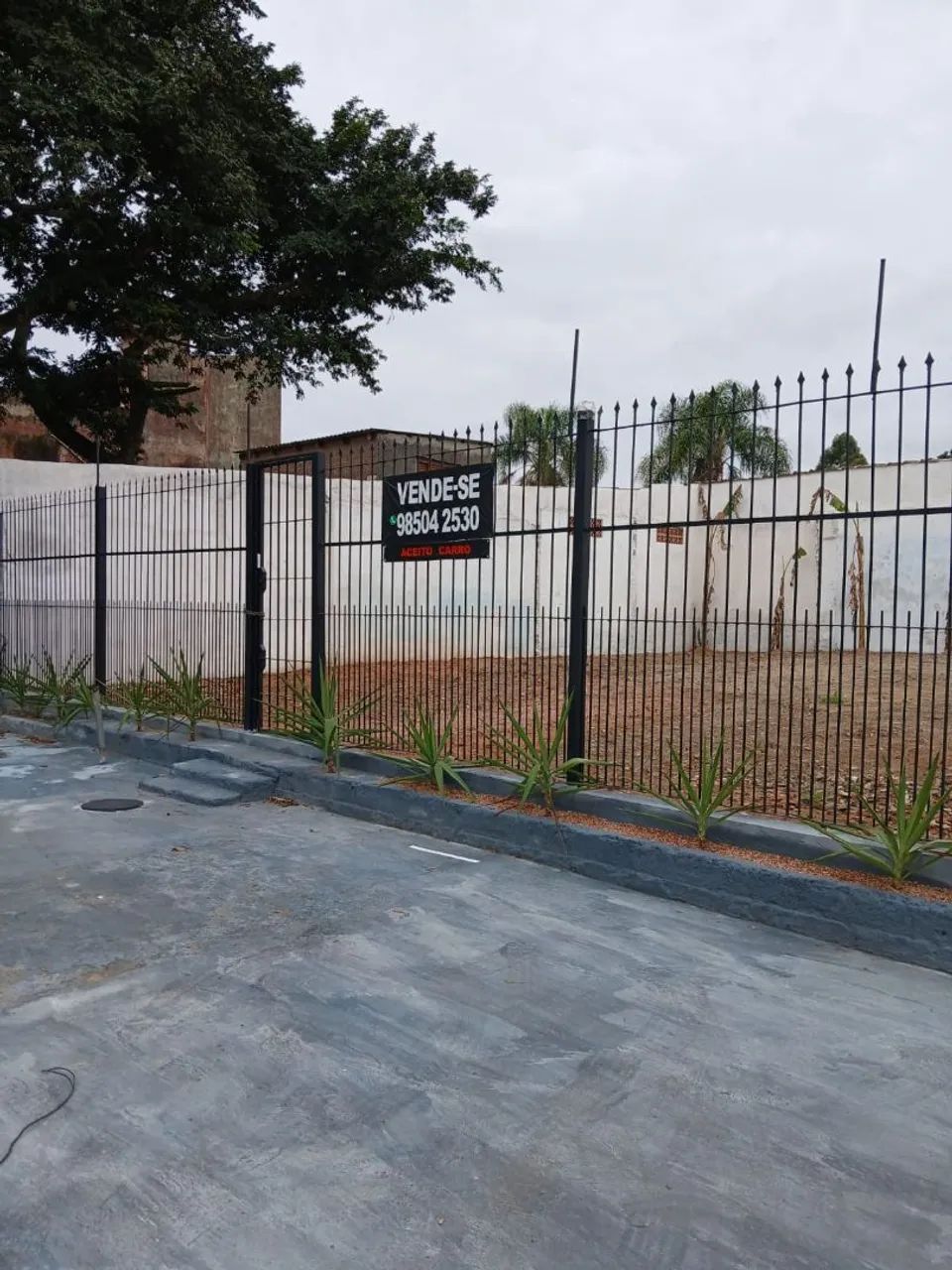 Terreno 