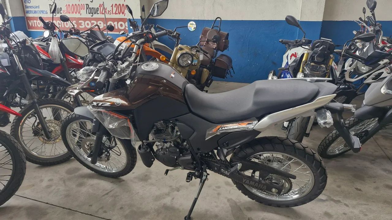 Yamaha XTZ250 lander  - Foto 2