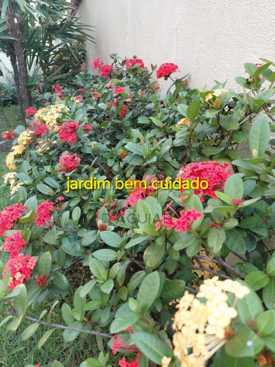 Apartamento para Aluguel no Imirim com 63 m² e 2 dormitórios/quartos disponíveis - Foto 3