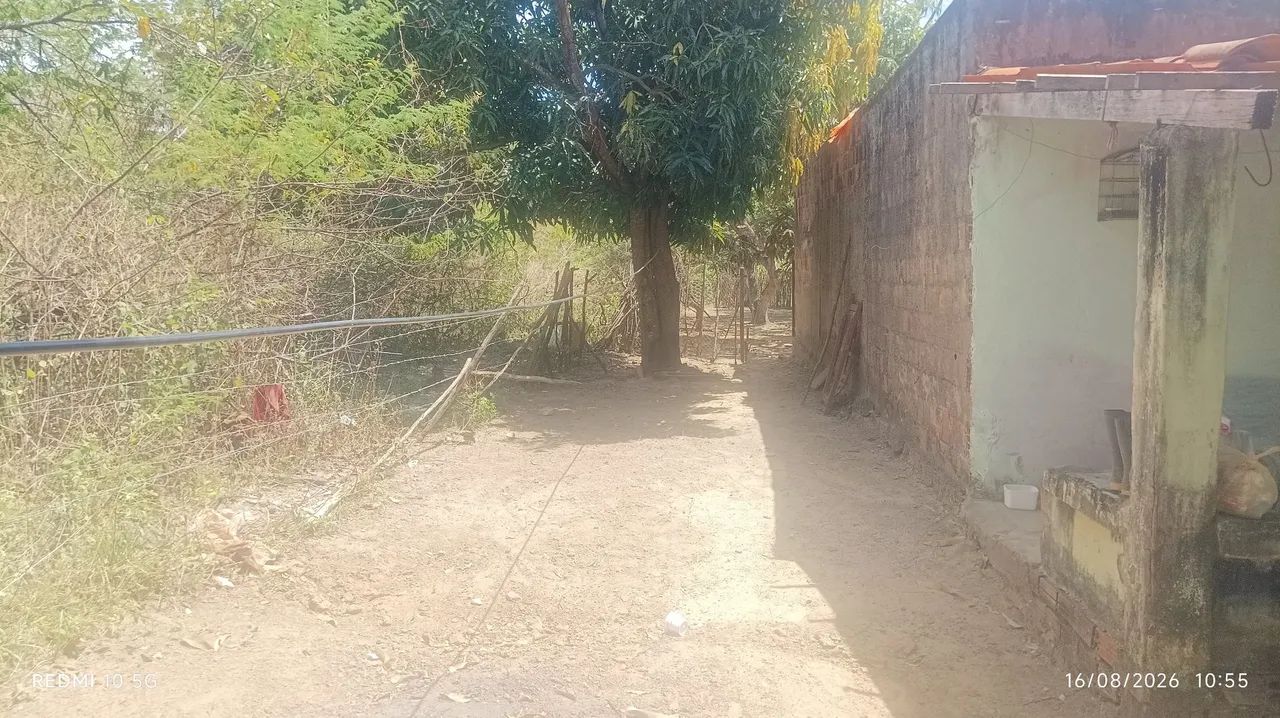 Venda - Foto 5