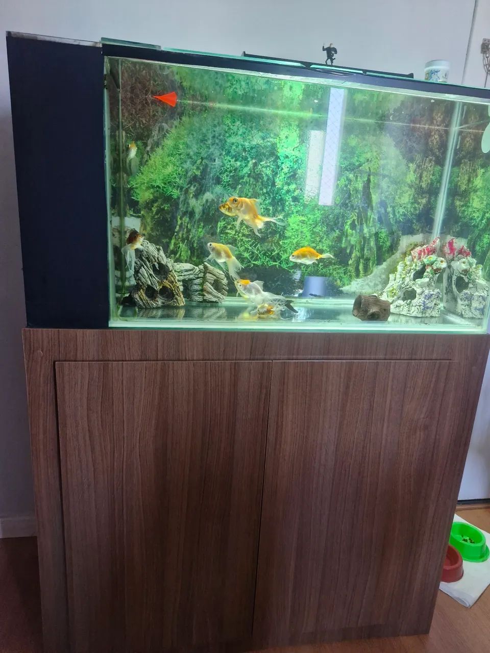 Aquário com armário planejado  - Foto 3