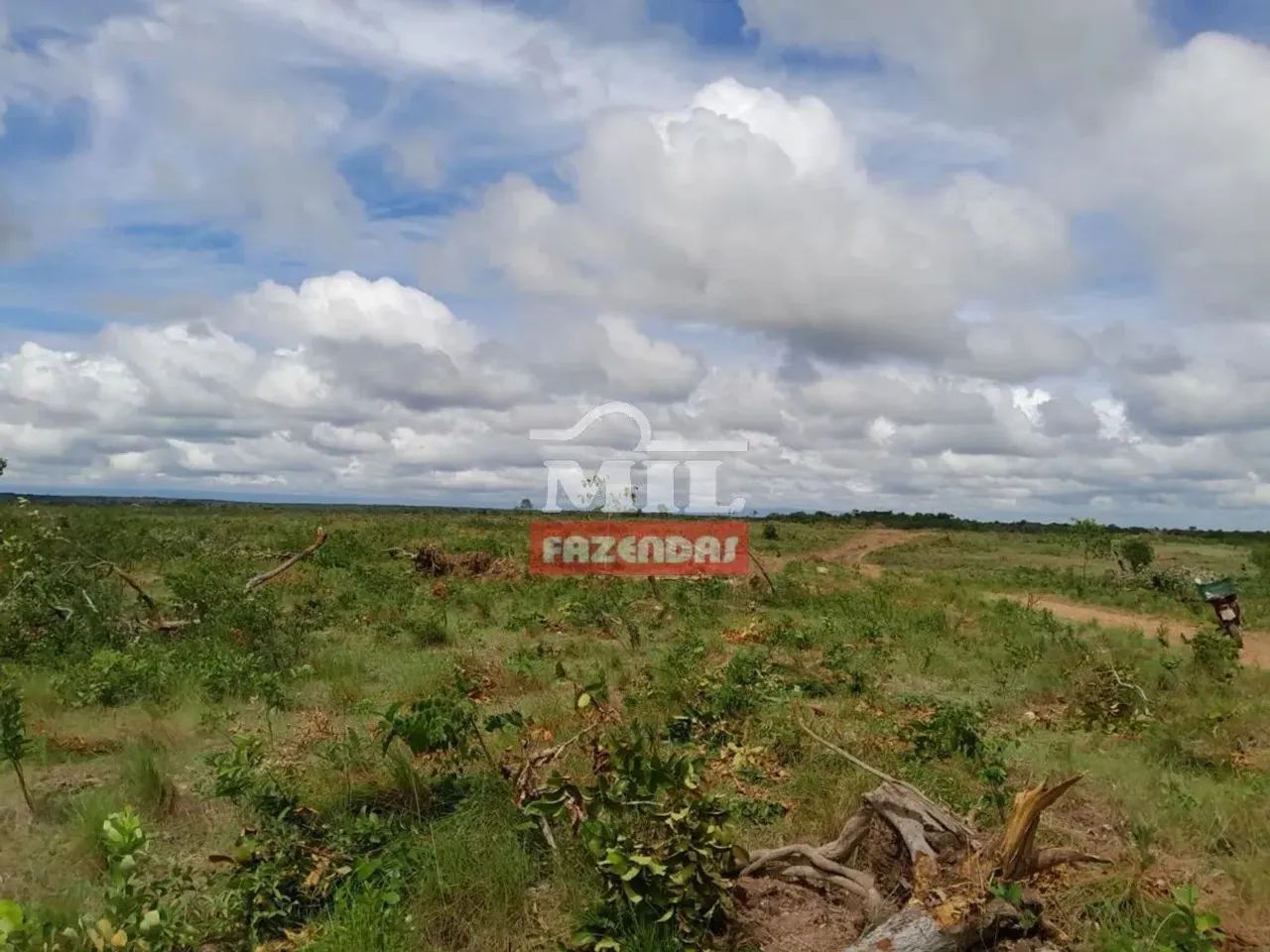 Fazenda 454 Alqueires (2.197 Hectares) - Paranã TO