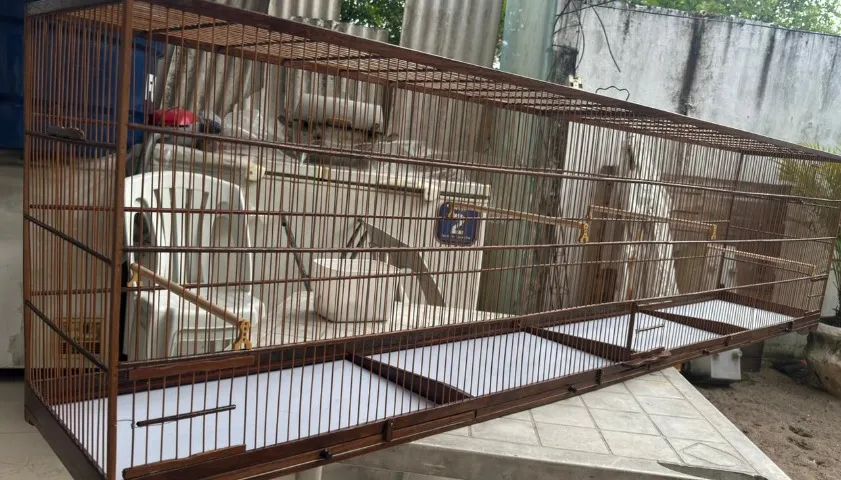 Gaiola de passáro 2 metros  - Foto 4