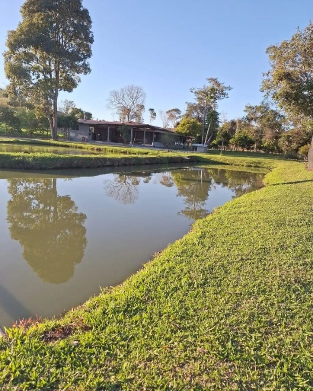 Chácara 1 Alqueire em Itapuranga - Foto 2