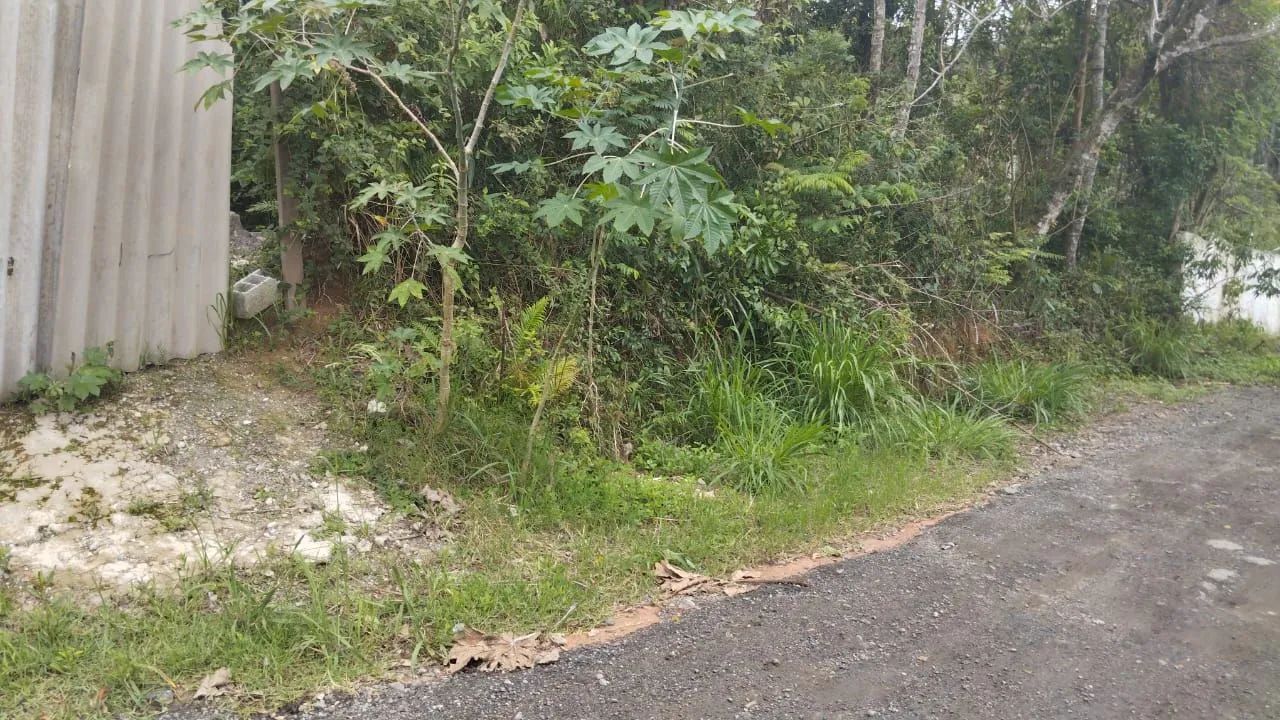 Lindo terreno para chácara  - Foto 3