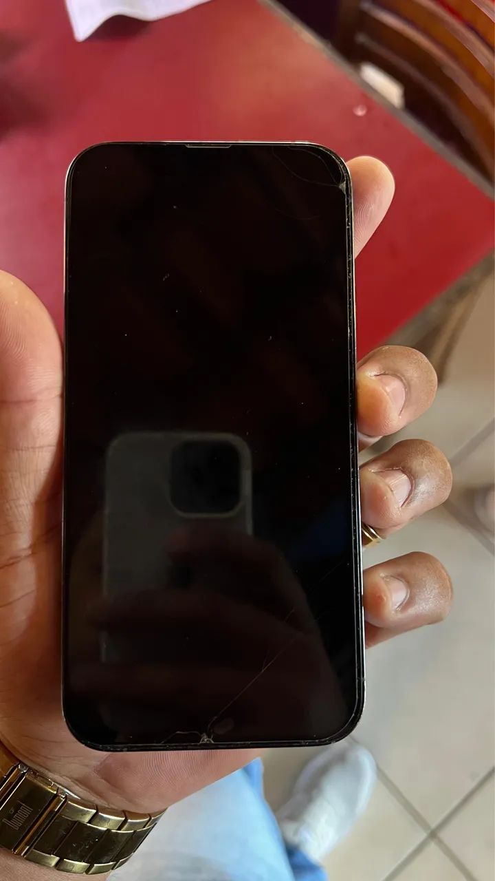 iPhone 13 Pro Max Conservado!