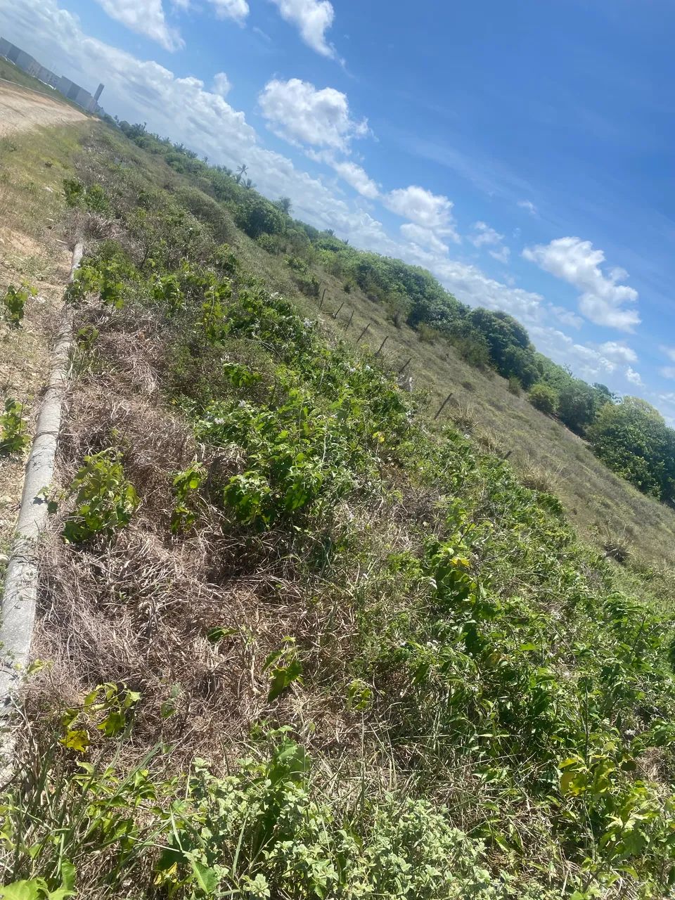 Terreno a venda 