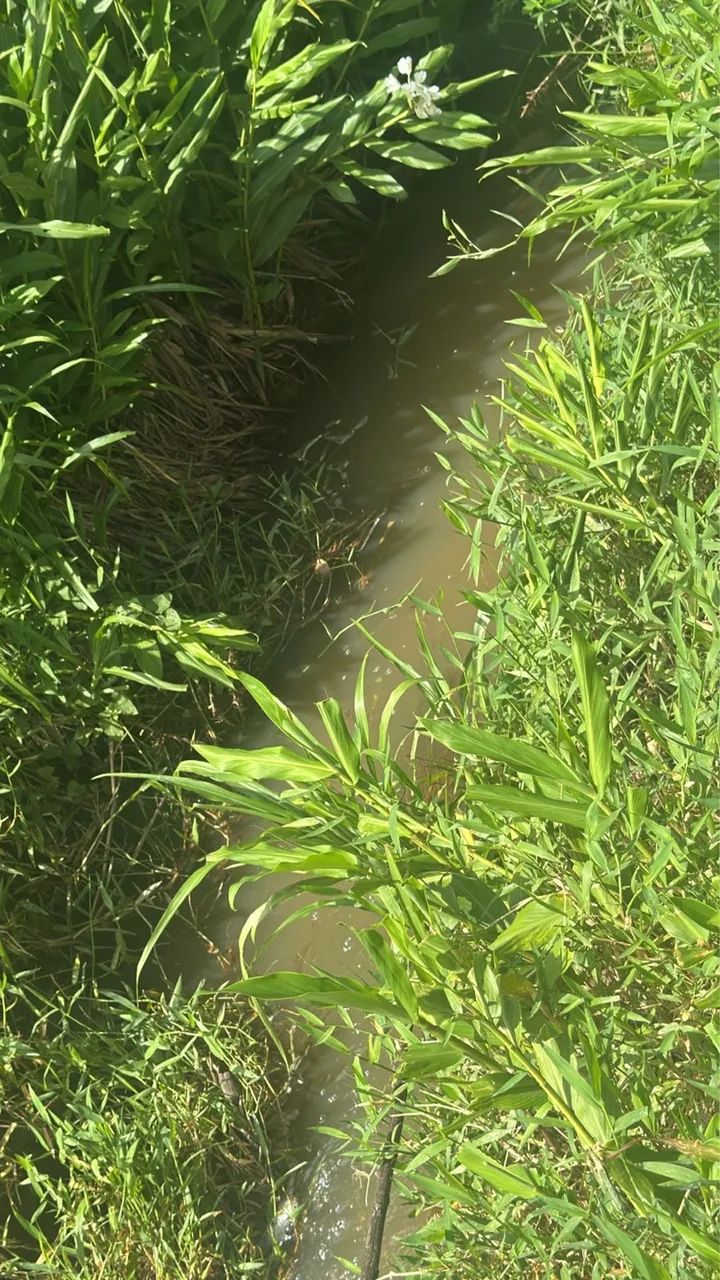 Chácaras com água no fundo em Rio Manso - Foto 2