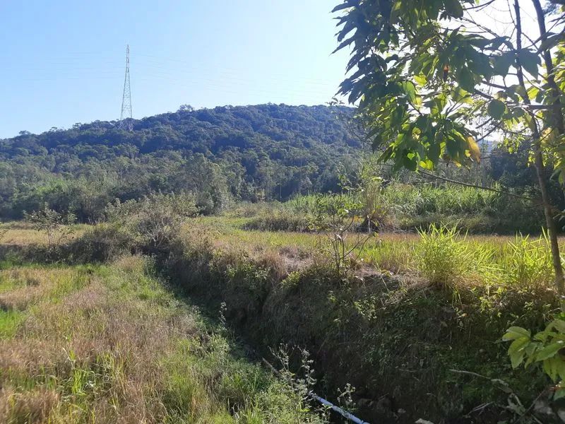 Terreno RODEIO - SC - Foto 3