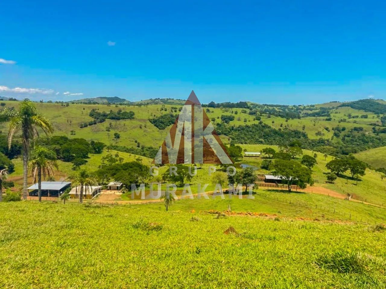 FAZENDA - PALMITAL - PARANÁ