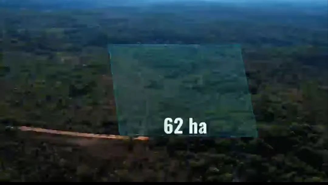Terreno no torrão do matapi  - Foto 3