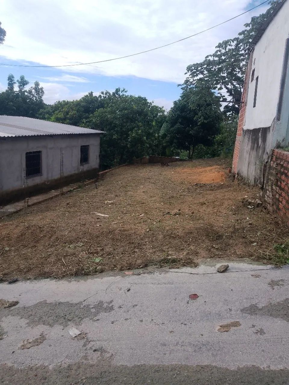 Vendo terreno 8x50 - Foto 2