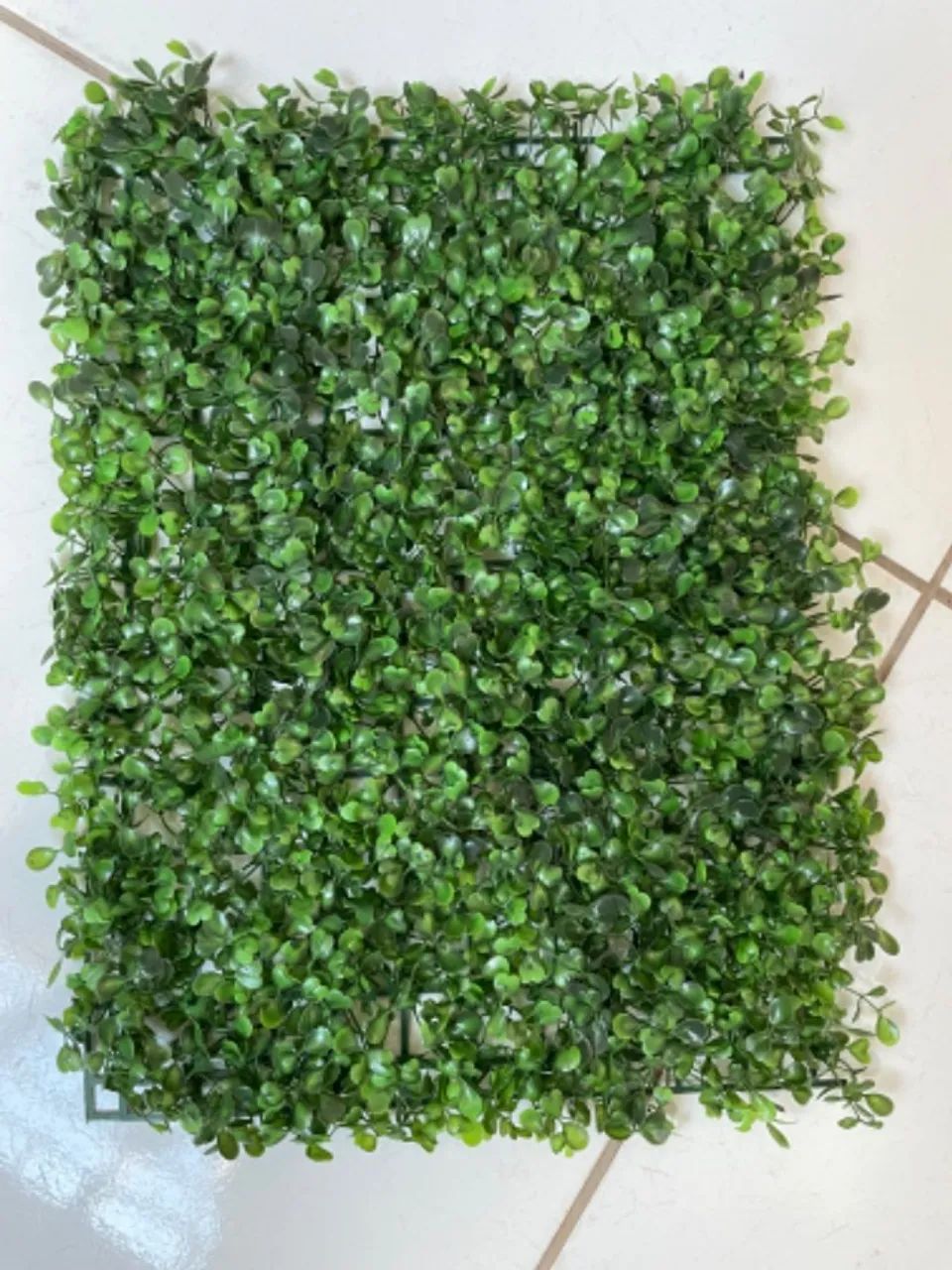 Buchinho para muro inglês  - Foto 3