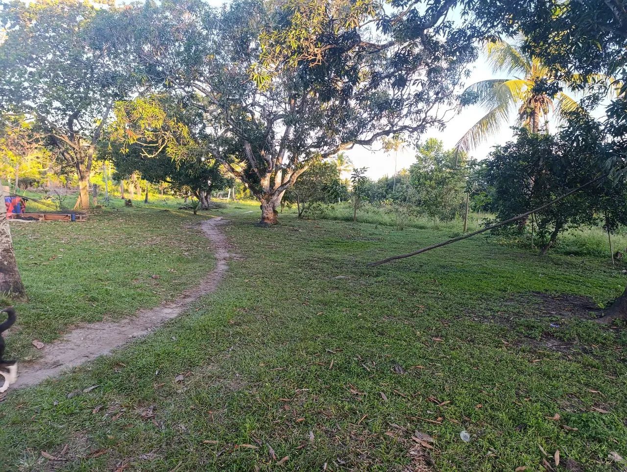 Terrenos em são Cristóvão  - Foto 3