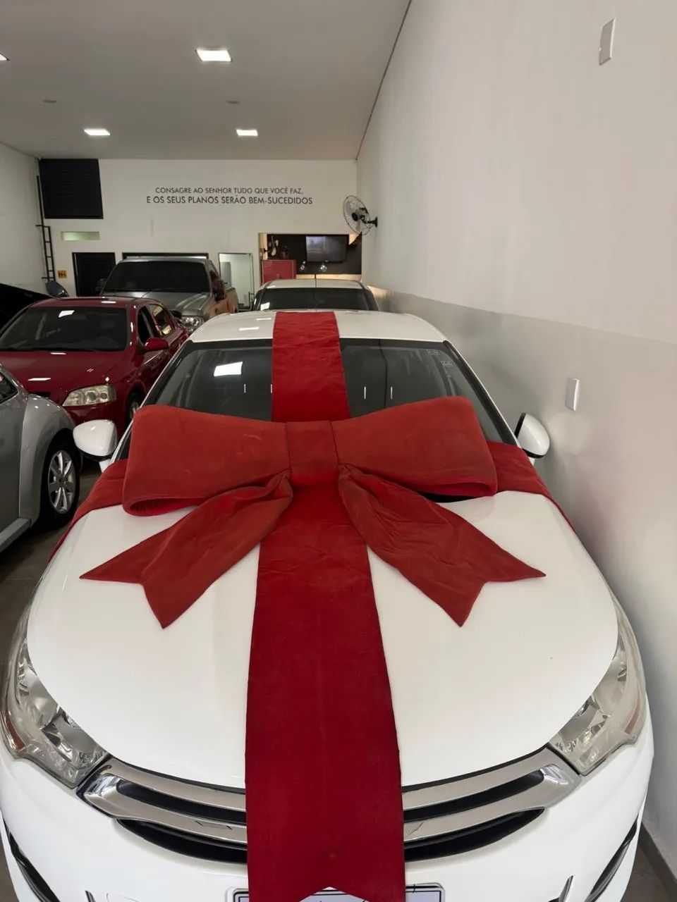 Laço de carro  - Foto 3