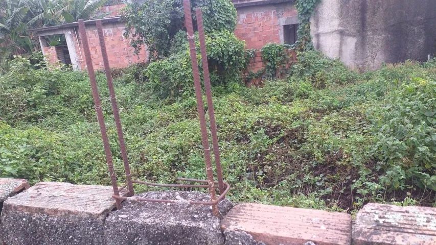 Terreno plano e murado no Coelho - Foto 3