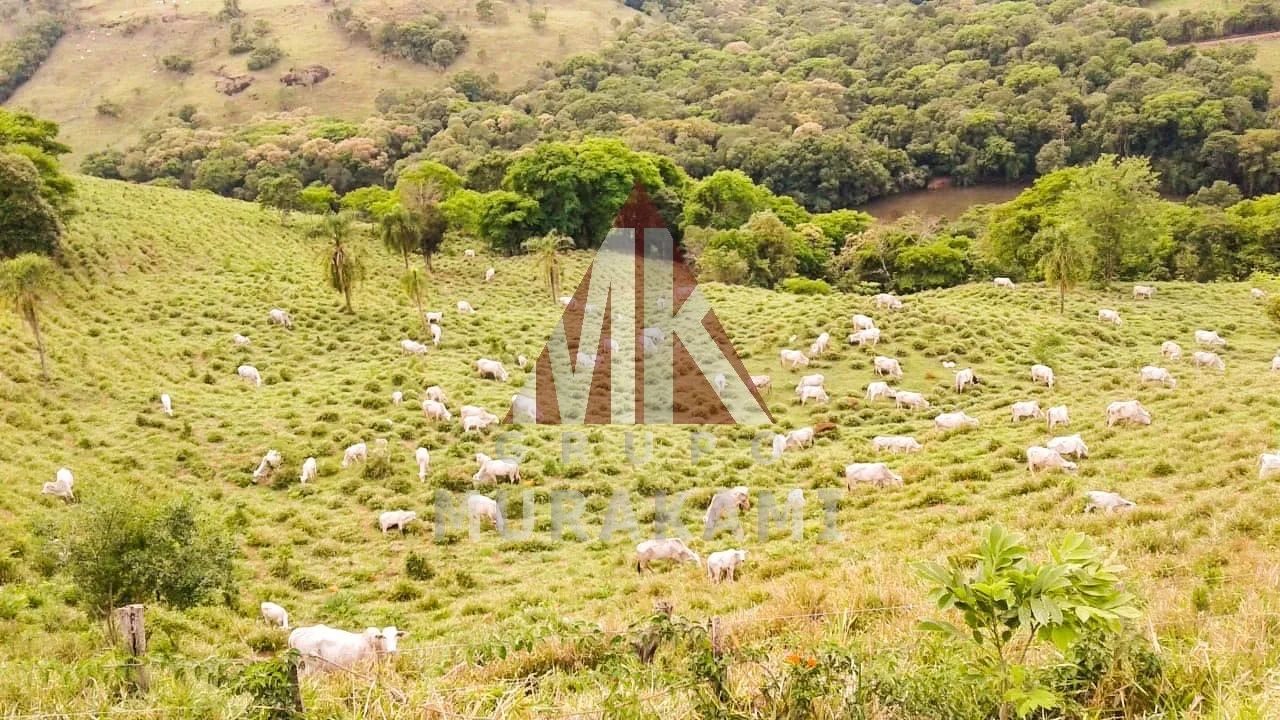 FAZENDA - PALMITAL - PARANÁ - Foto 2