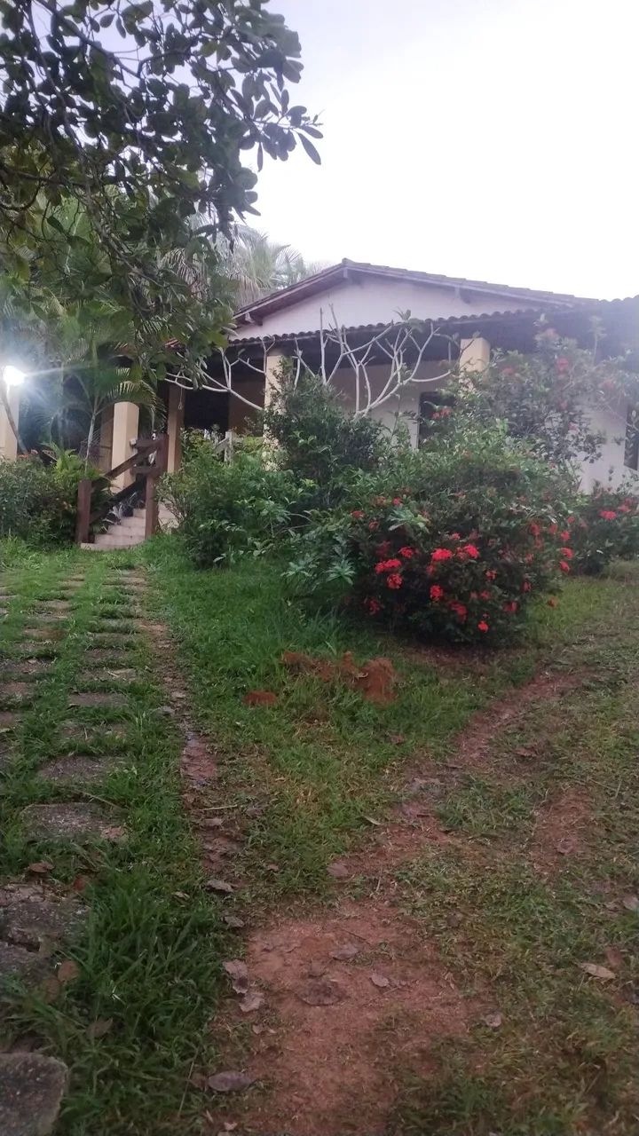 Sítio em Abrantes  - Foto 2