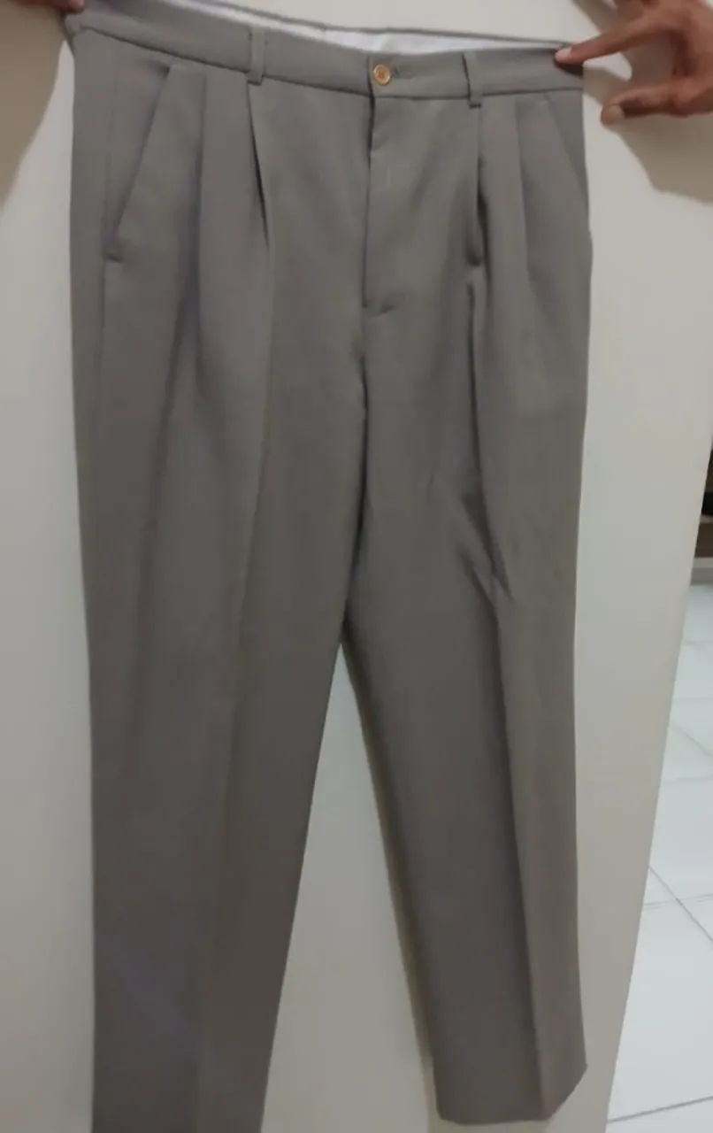 Terno Masculino Completo Cinza - Paletó 50 / Calça 42 - Foto 2