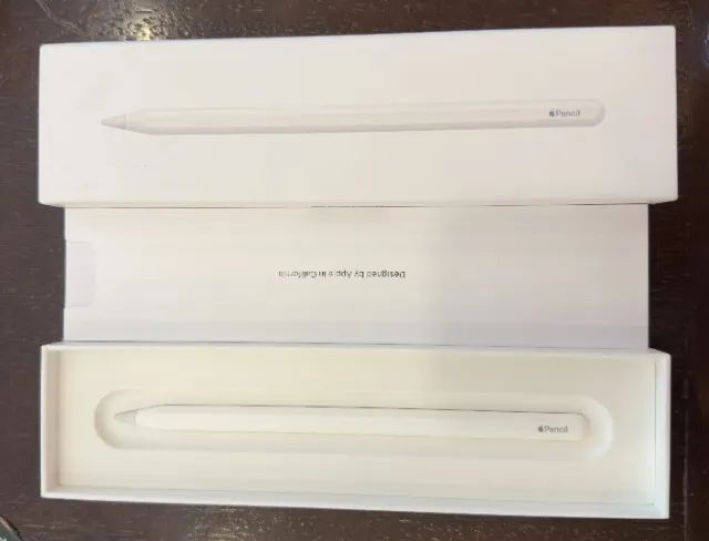 Apple Pencil 2ª Geração Original - Nova na Caixa