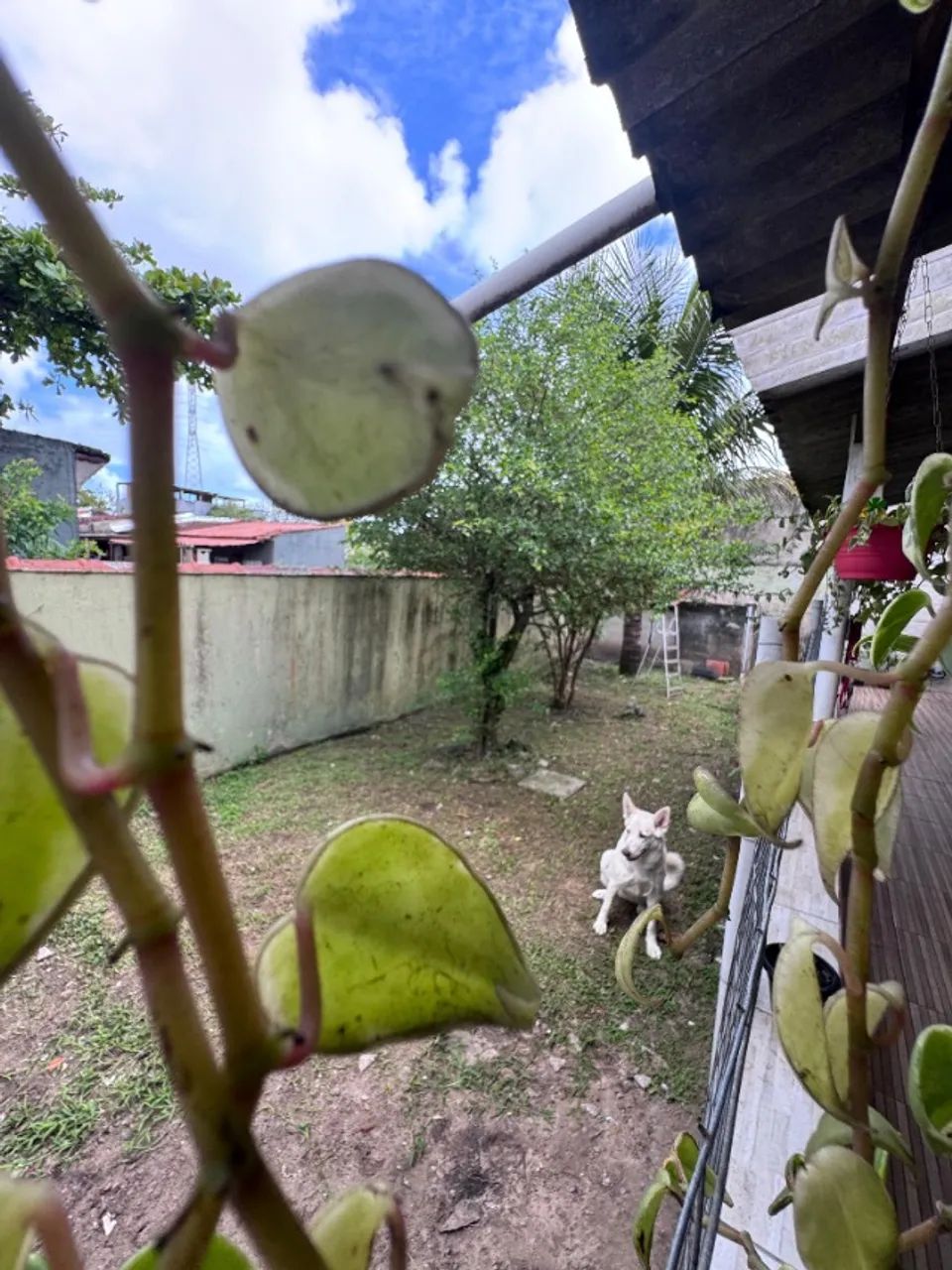 Hospedagem em Mongaguá  - Foto 2