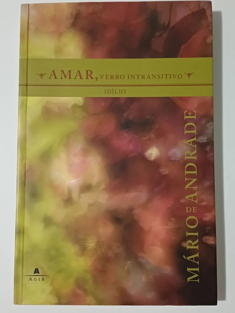 Amar, verbo intransitivo