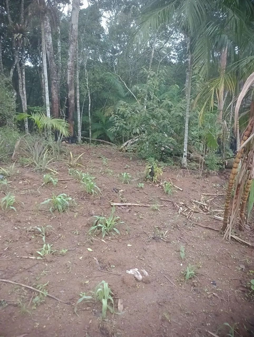 Terreno à venda  - Foto 4