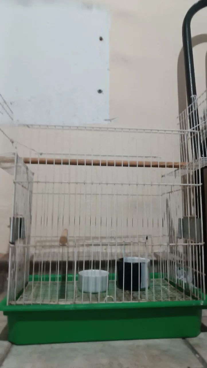 Gaiola em bom estado - Foto 3