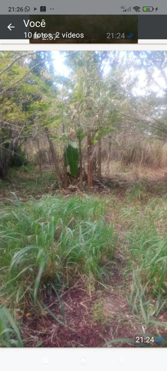 sítio com uma uma tarefa de terra com escritura  - Foto 5