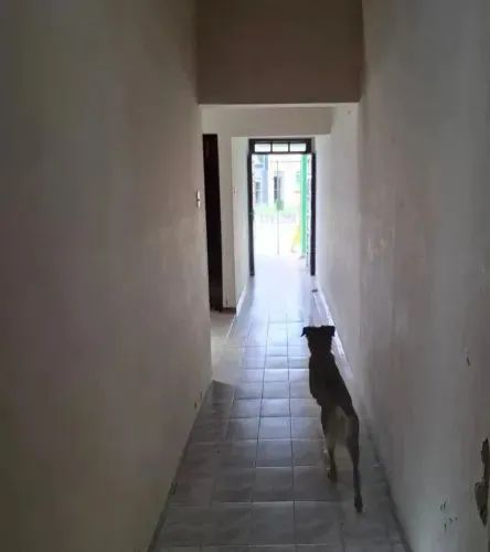 Casa na marambaia  - Foto 4