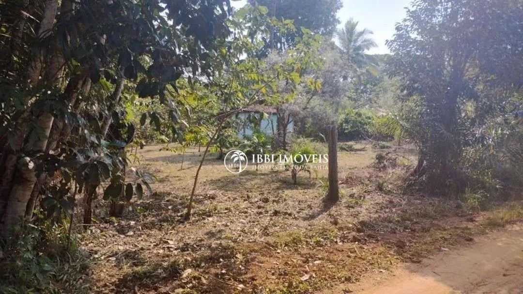Ótimo Sitio à venda, 85.000 m², no Povoado de Tremembé - Maraú/BA - Foto 4