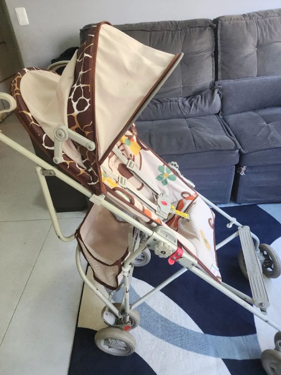 Carrinho de passeio