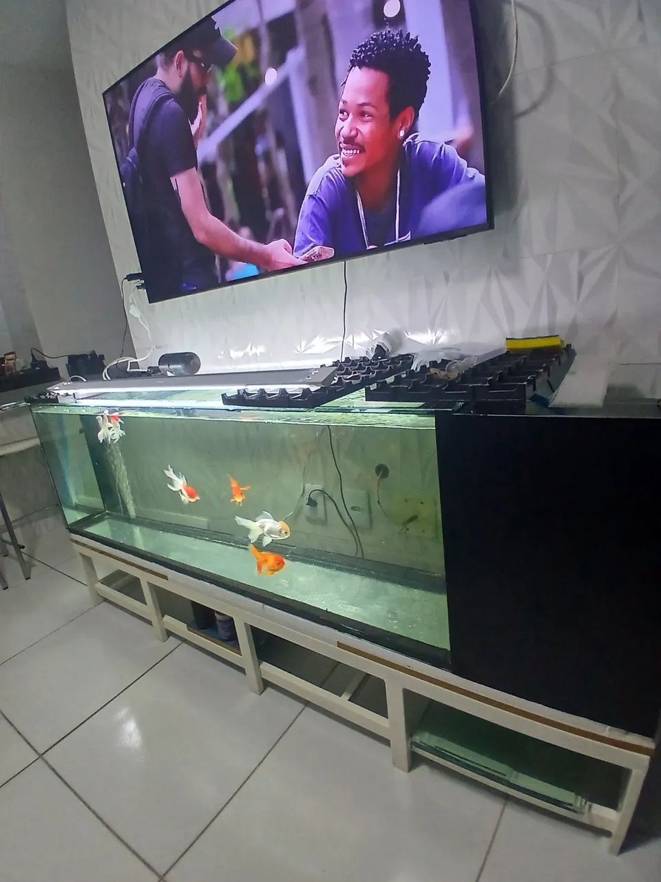 Aquario  - Foto 2