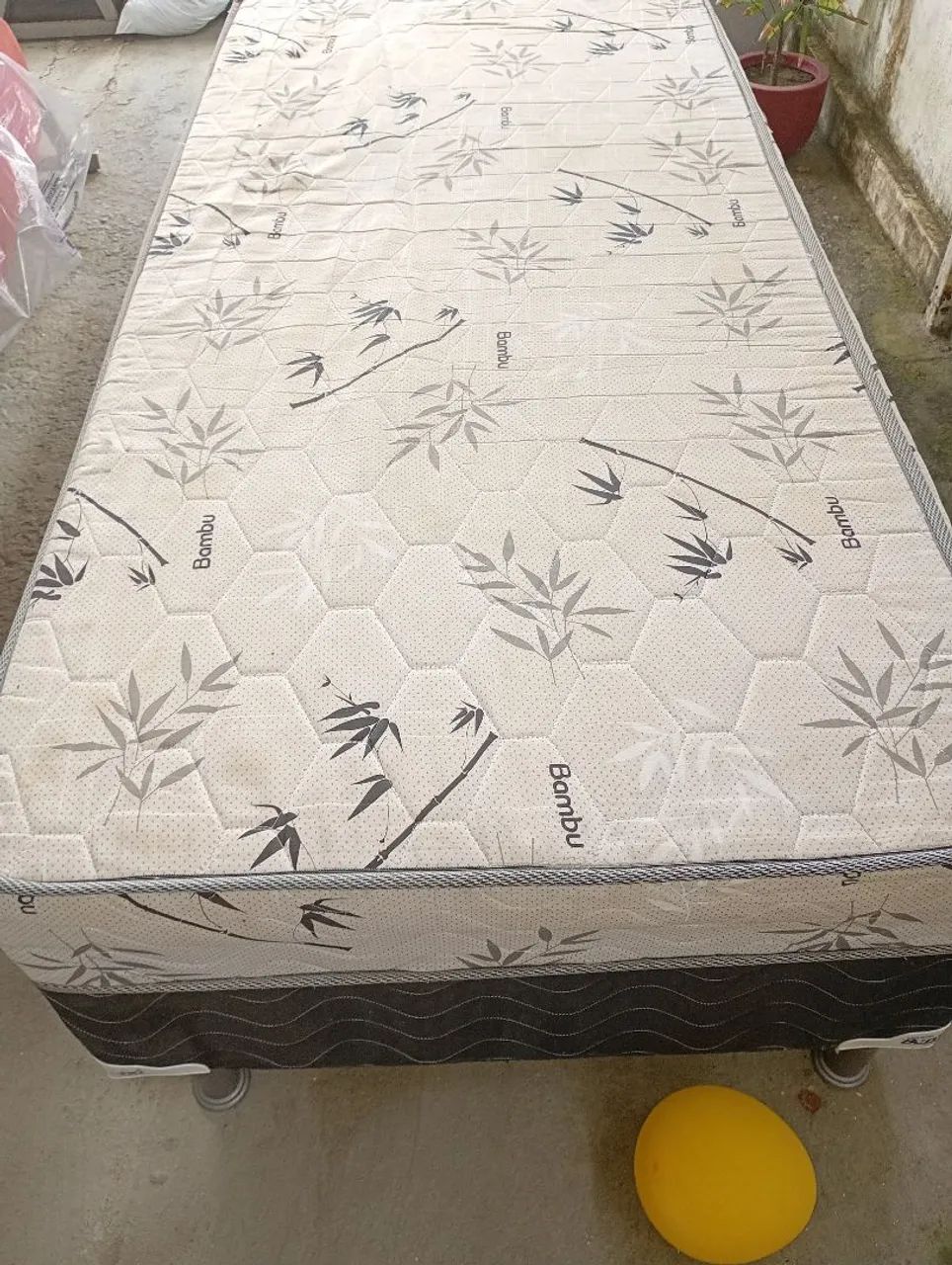 Cama 