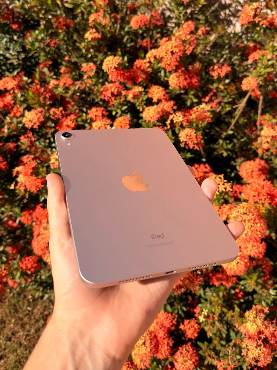 iPad mini 6, rosé, 64gb  - Foto 2