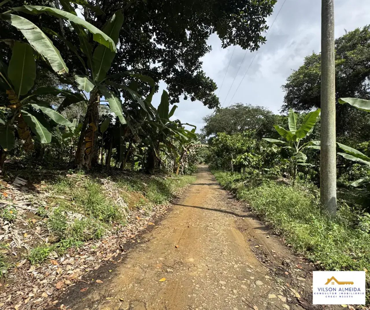 Áreas à venda, SERRA GRANDE, Uruçuca, BA - Foto 2