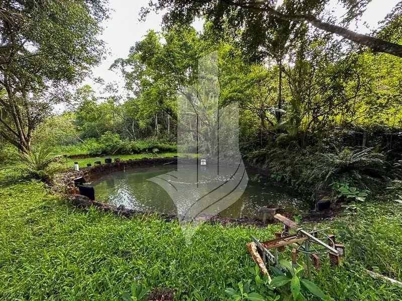Chácara com cachoeira em Indaial - SC - Foto 9