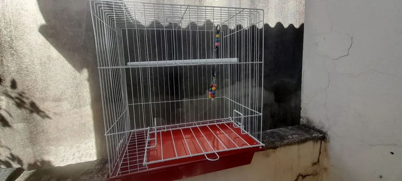 Gaiola Seminova - Foto 5