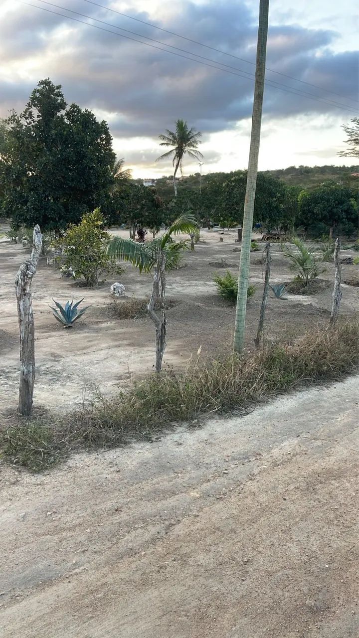 Terreno serrinha  - Foto 5