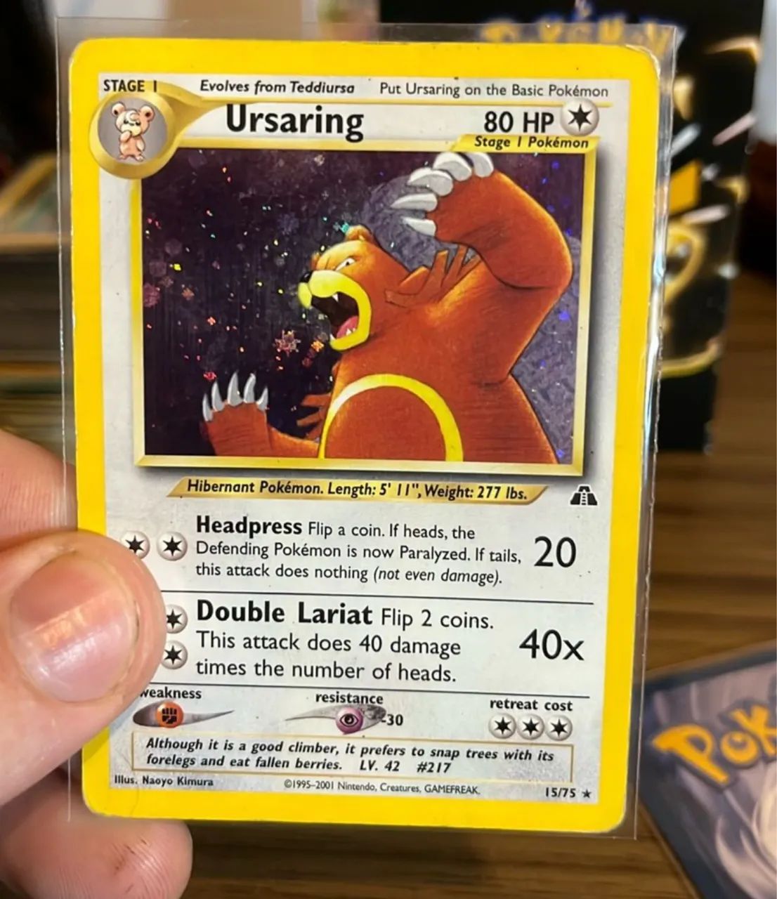 [Original] Carta de Pokémon Ursaring 1995 - Foto 2