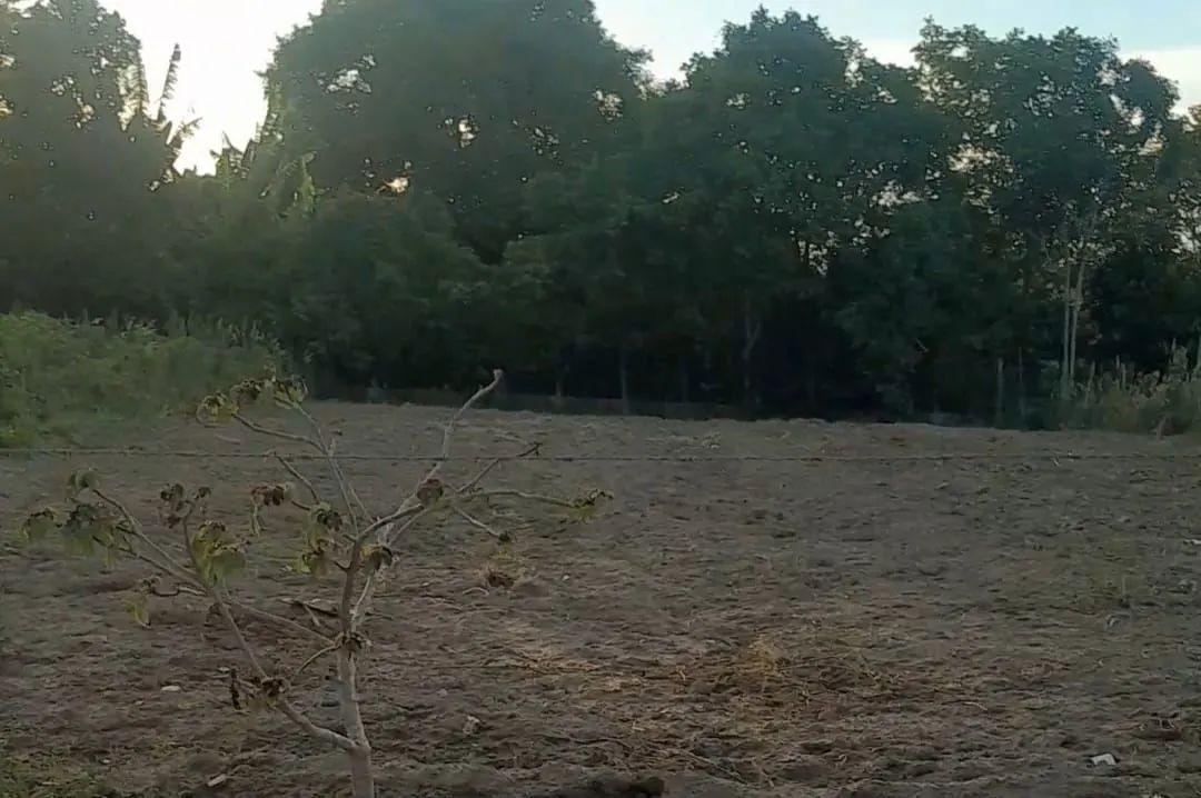 Aproveite essa oportunidade e adquira um ótimo terreno com preço justo - Foto 2