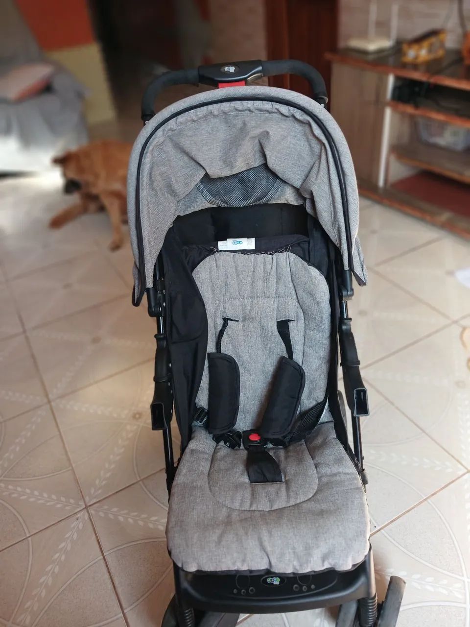 Carrinho Max Baby - Foto 3