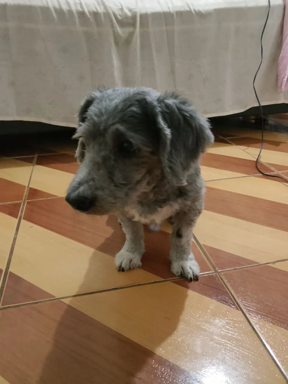 doação 